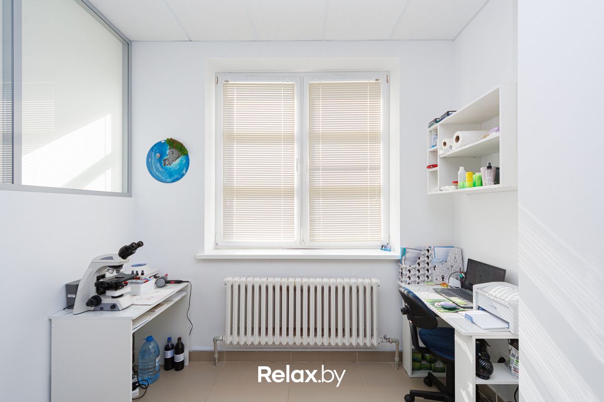 Галерея Ветеринарная клиника «NAN Animal Clinic (НАН Энимал Клиник)» - фото 7731416