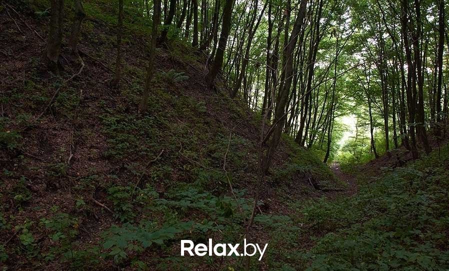 Стоянка первобытных людей Музей под открытым небом «Стоянка первобытных людей» - фото 1866463