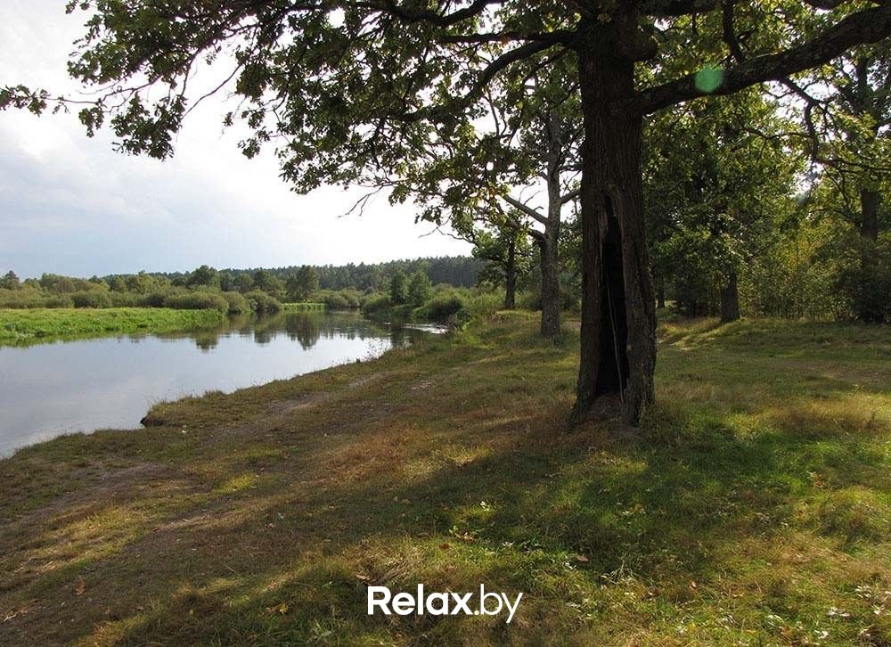 Птичь Река «Птичь» - фото 1997843