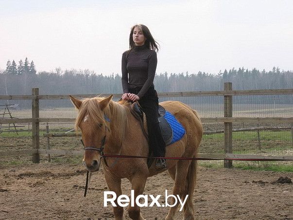 Прокат Центр верховой езды «Двор Старинки» - фото 20999