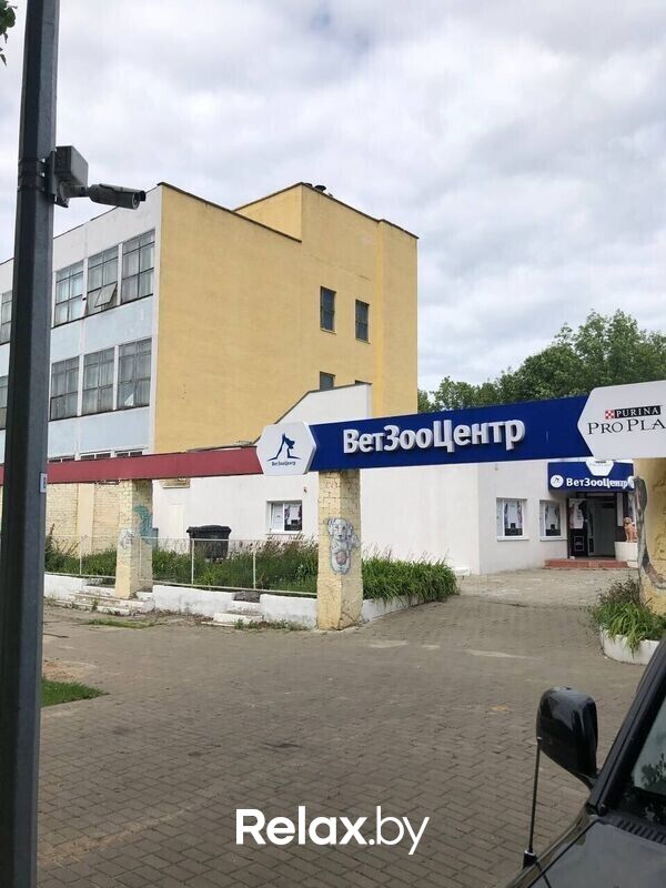 Галерея Ветеринарная клиника «ВетЗооЦентр» - фото 7740248