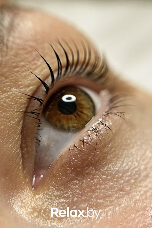 Ламинирование ресниц Салон красоты «Шевелюра» - фото 7762085