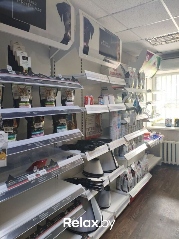 Галерея Ветеринарная клиника «ВЕК» - фото 7839601