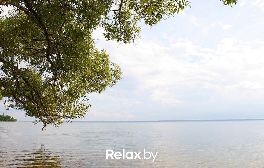 Озеро Нарочь Национальный парк «Нарочанский» - фото 1891193