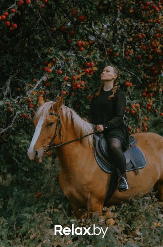 Прокат Центр верховой езды «Двор Старинки» - фото 7698174