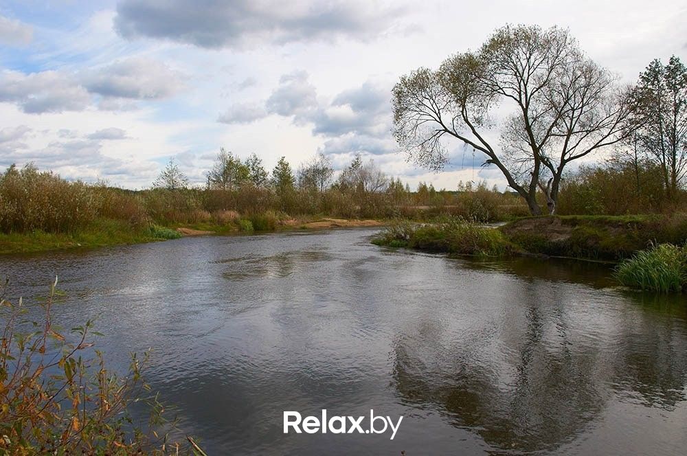 Птичь Река «Птичь» - фото 1997883