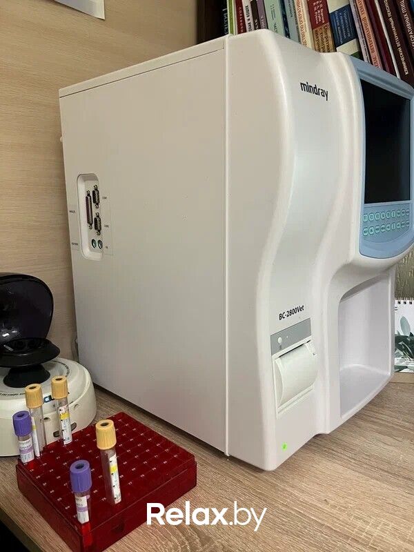 Галерея Ветклиника «Айдавет» - фото 7874528