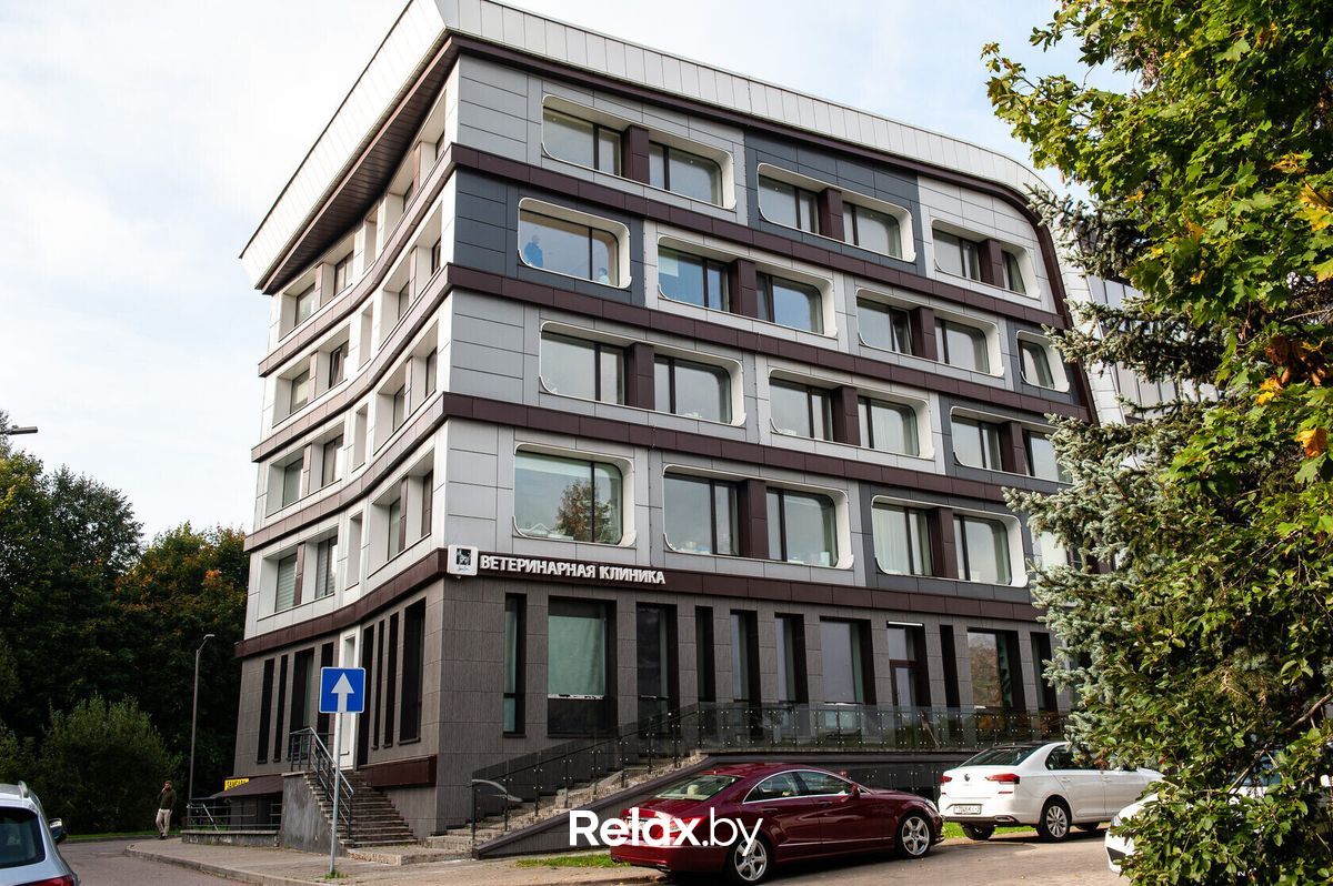 Галерея Ветеринарная клиника «Дарис Вет» - фото 7850773