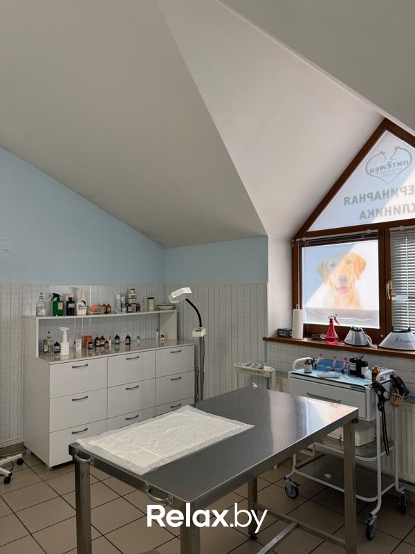 Галерея Ветеринарная клиника «Питомец» - фото 7838452