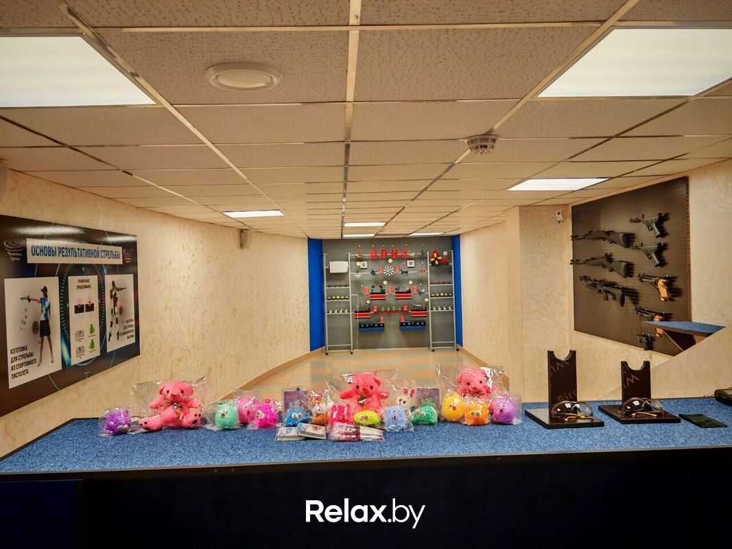 ТИР Многофункциональный культурно-развлекательный спортивный комплекс «Чижовка-Арена» - фото 7811528