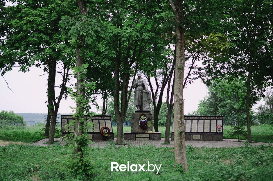 Усадьба  Усадьба Халецких и Войнич-Сеножетских - фото 6203733