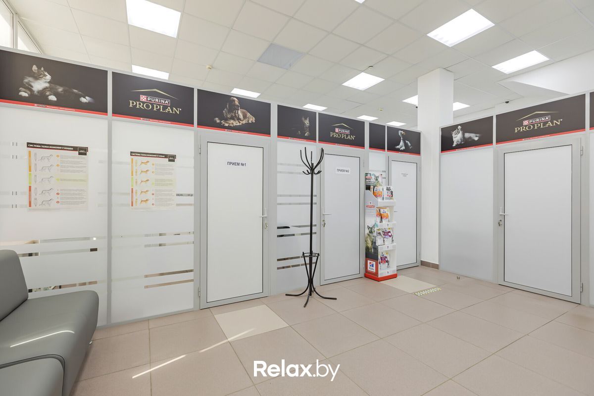 Интерьер Ветеринарная клиника «Питомец» - фото 7838398