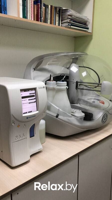 Галерея Ветеринарная клиника «ВетЗооЦентр» - фото 7740255