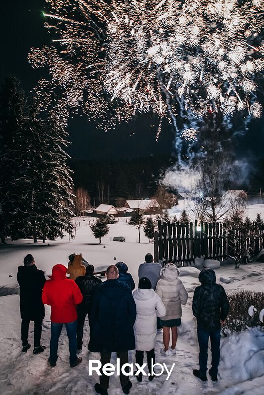 Зима Загородный дом «Вераги» - фото 7694783