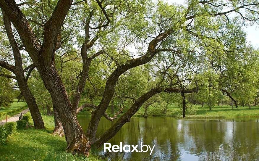 Музей Музей «Вязынка» - фото 1920083