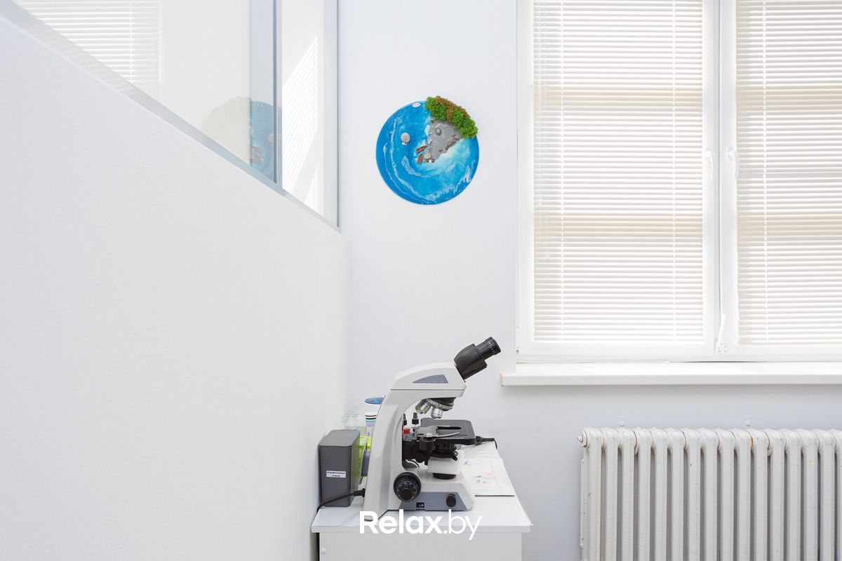 Галерея Ветеринарная клиника «NAN Animal Clinic (НАН Энимал Клиник)» - фото 7731368