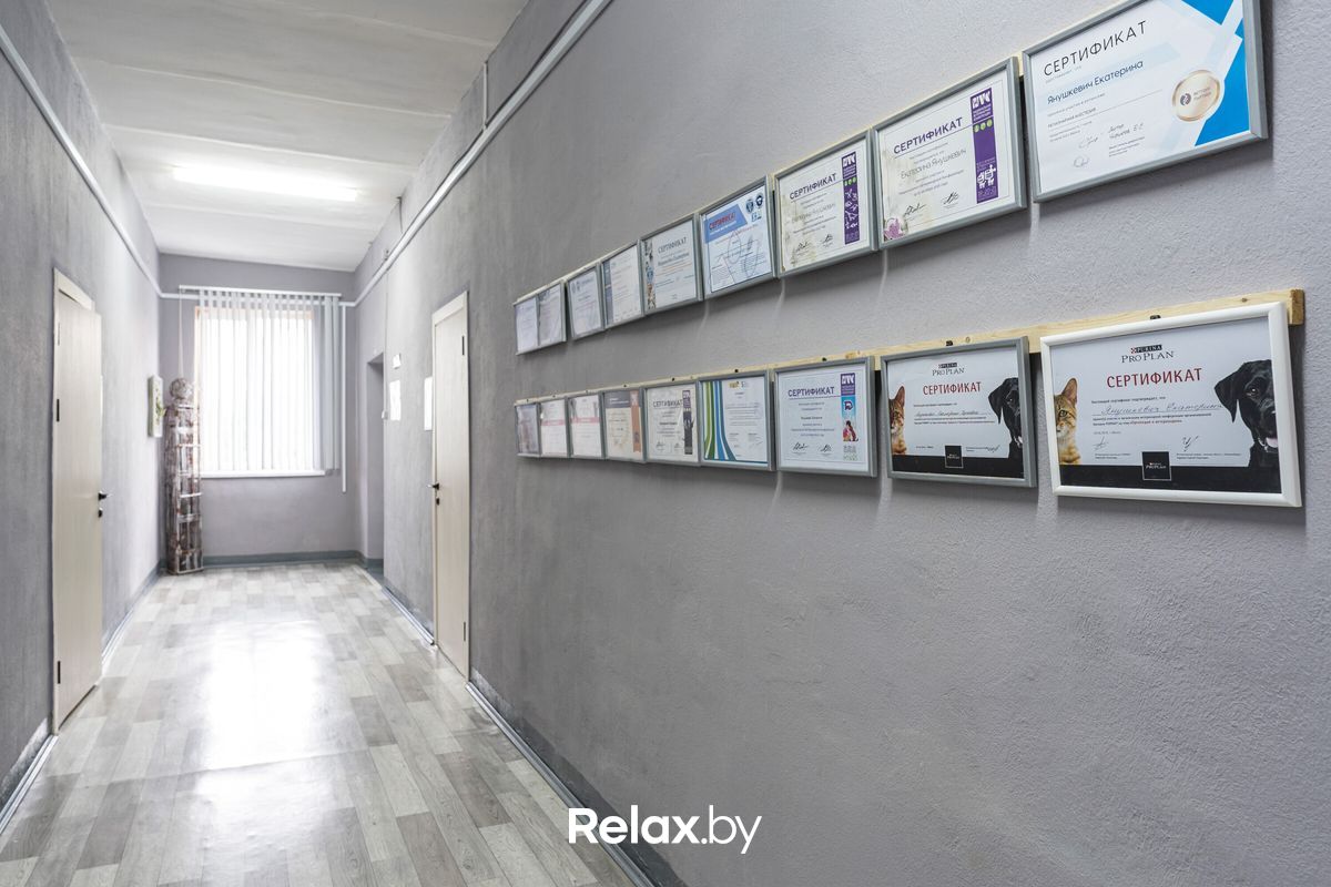 Галерея Ветеринарная клиника «Ветмедика+» - фото 7777829
