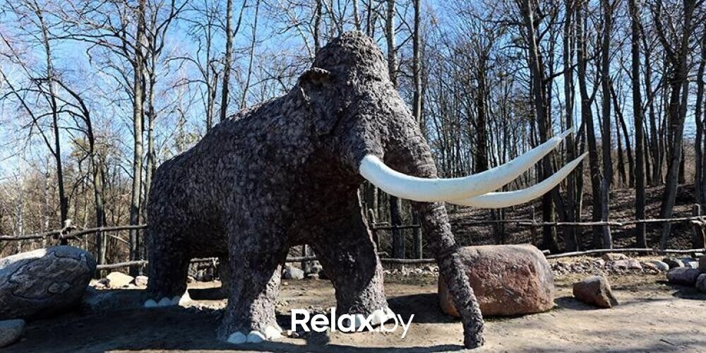 Стоянка первобытных людей Музей под открытым небом «Стоянка первобытных людей» - фото 7814216