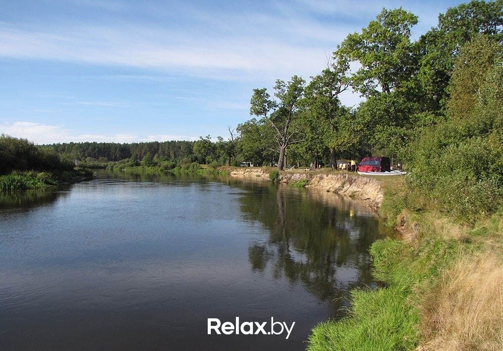 Птичь Река «Птичь» - фото 1997853