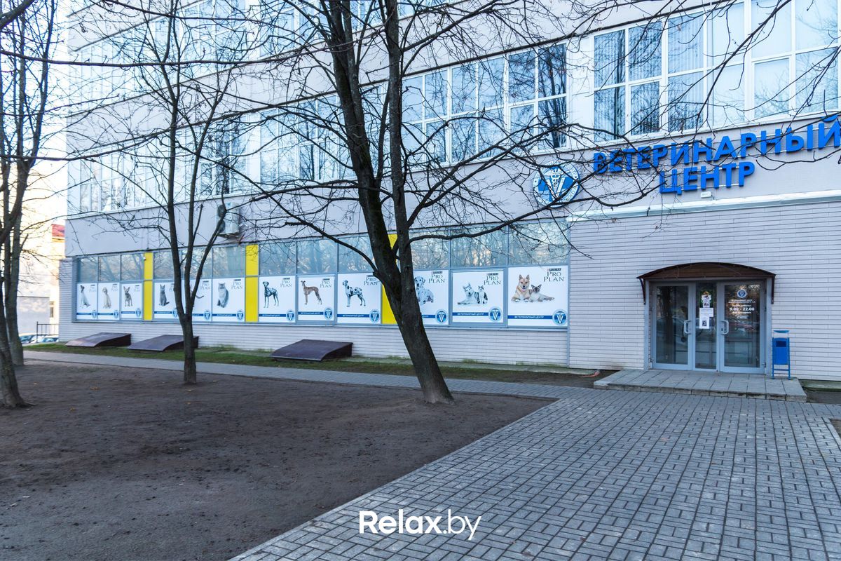 Галерея  «Ветеринарный центр доктора Базылевского А.А. Филиал «Могилев»» - фото 5008623