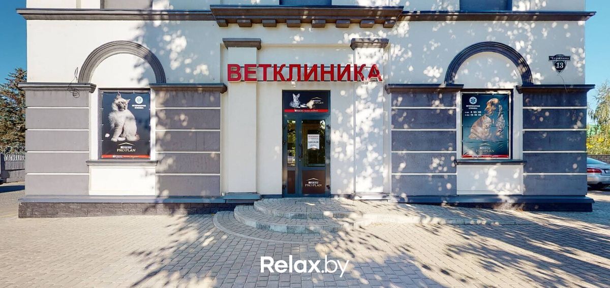 Галерея Ветеринарная клиника  «Ваш Добрый ветеринар» - фото 7845516