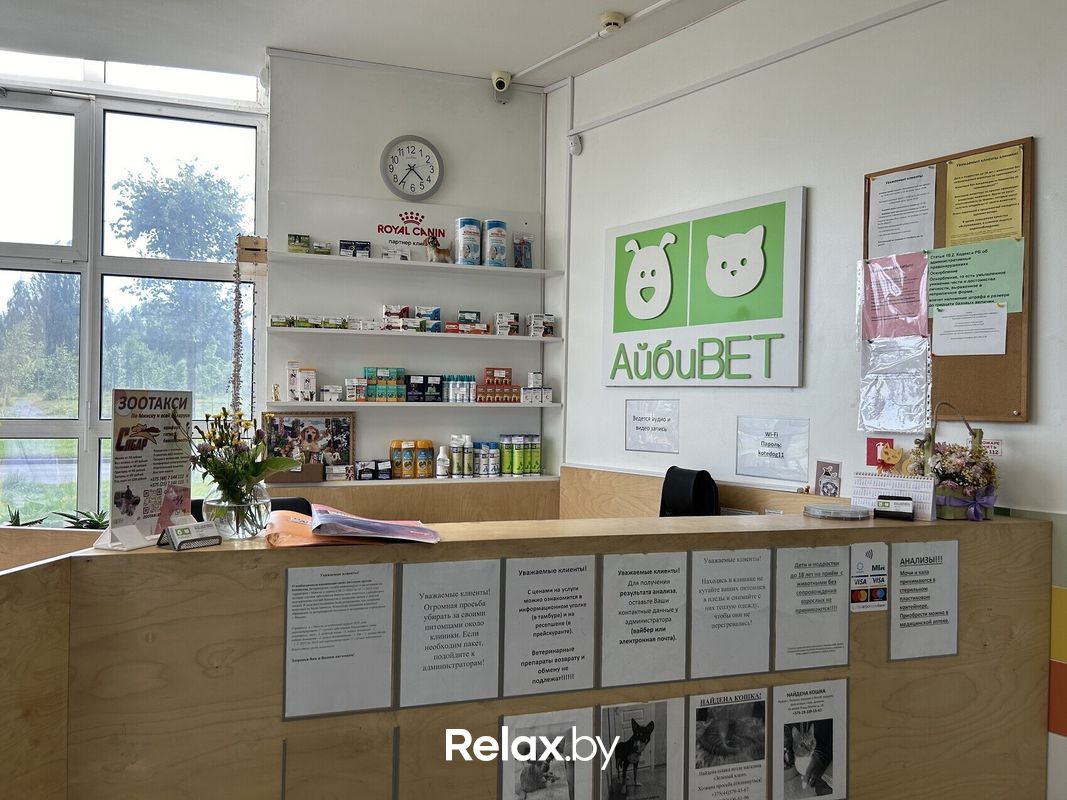 Галерея Ветеринарная клиника «АйбиВЕТ» - фото 7848229