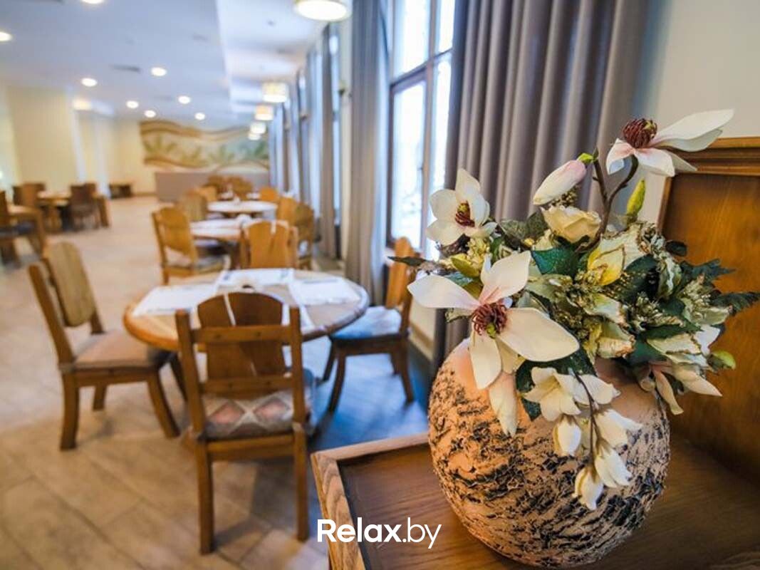Интерьер и экстерьер Гостиничный комплекс «Green Park Conference & SPA Hotel (Грин Парк Конференс энд СПА Отель)» - фото 7907535