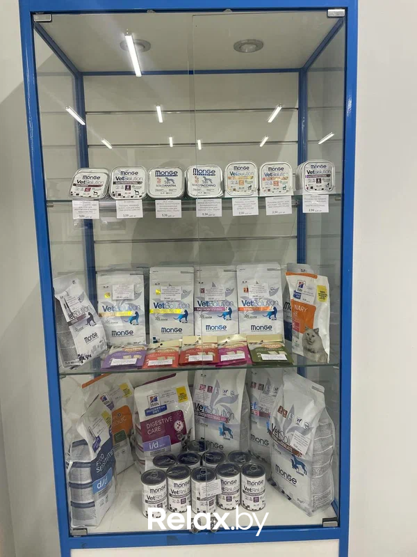 Галерея Ветеринарная клиника «Столетово» - фото 7884115