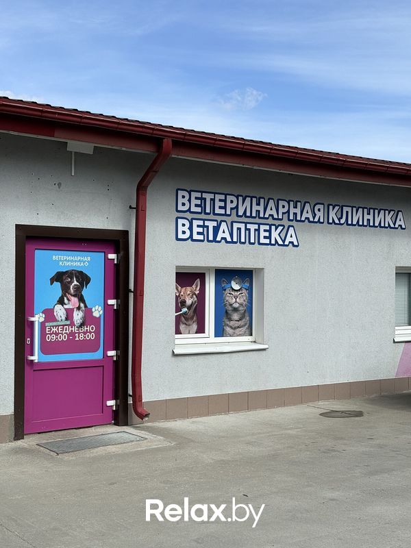 Галерея Ветеринарная клиника «Столетово» - фото 7893152