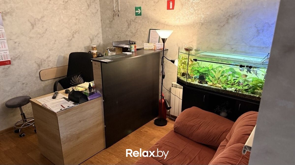 Галерея Массажный салон «Белый питон» - фото 7891495