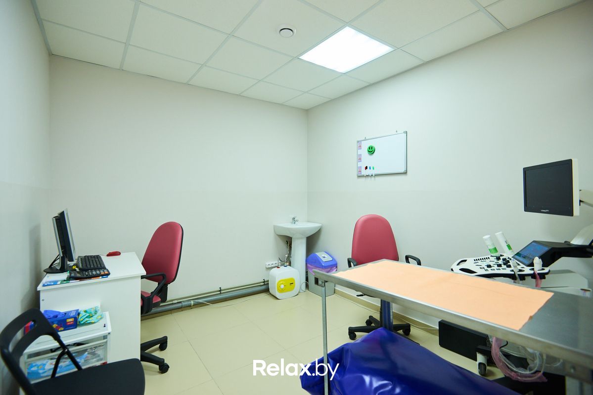 Галерея Ветеринарная клиника «Главное Хвост» - фото 5286993