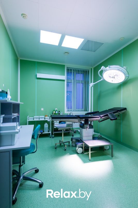 Галерея  Отделение клеточной терапии Института биофизики и клеточной инженерии НАН Беларуси - фото 7702083