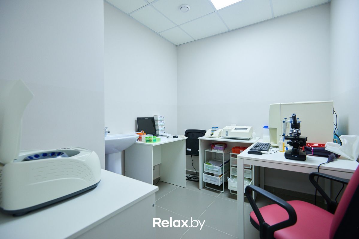 Галерея Ветеринарная клиника «Главное Хвост» - фото 5287233