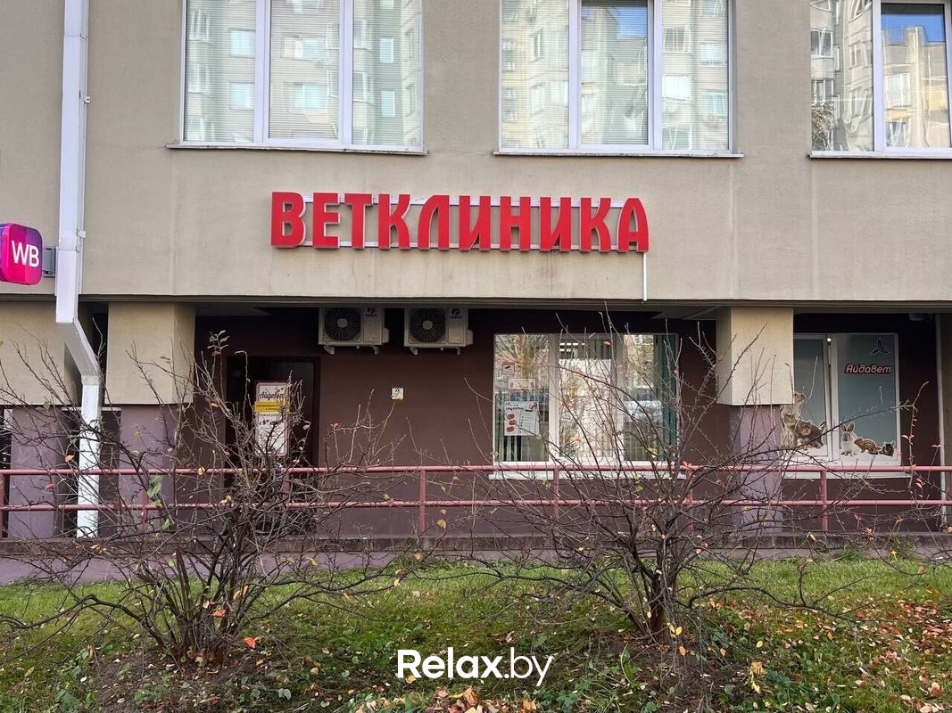 Галерея Ветклиника «Айдавет» - фото 7873447