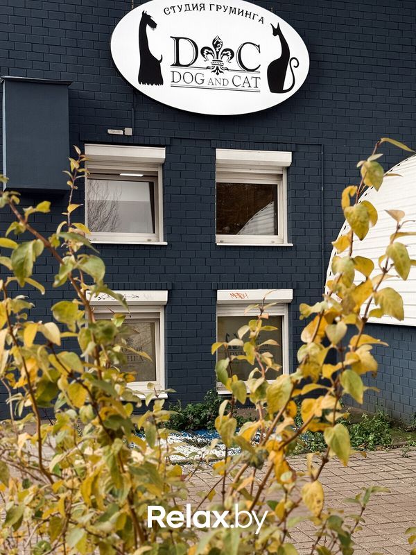 Галерея Студия груминга Dog and Cat (Дог энд Кэт) - фото 7866931