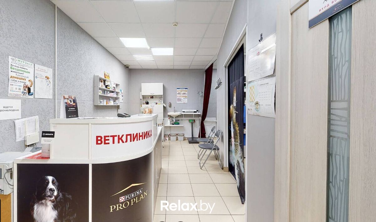 Галерея Ветеринарная клиника  «Ваш Добрый ветеринар» - фото 7845498