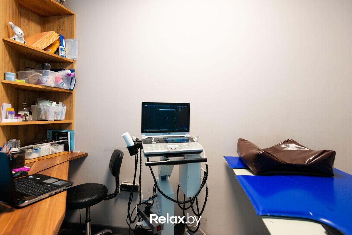 Галерея Ветеринарная клиника «Белая медведица» - фото 7723265