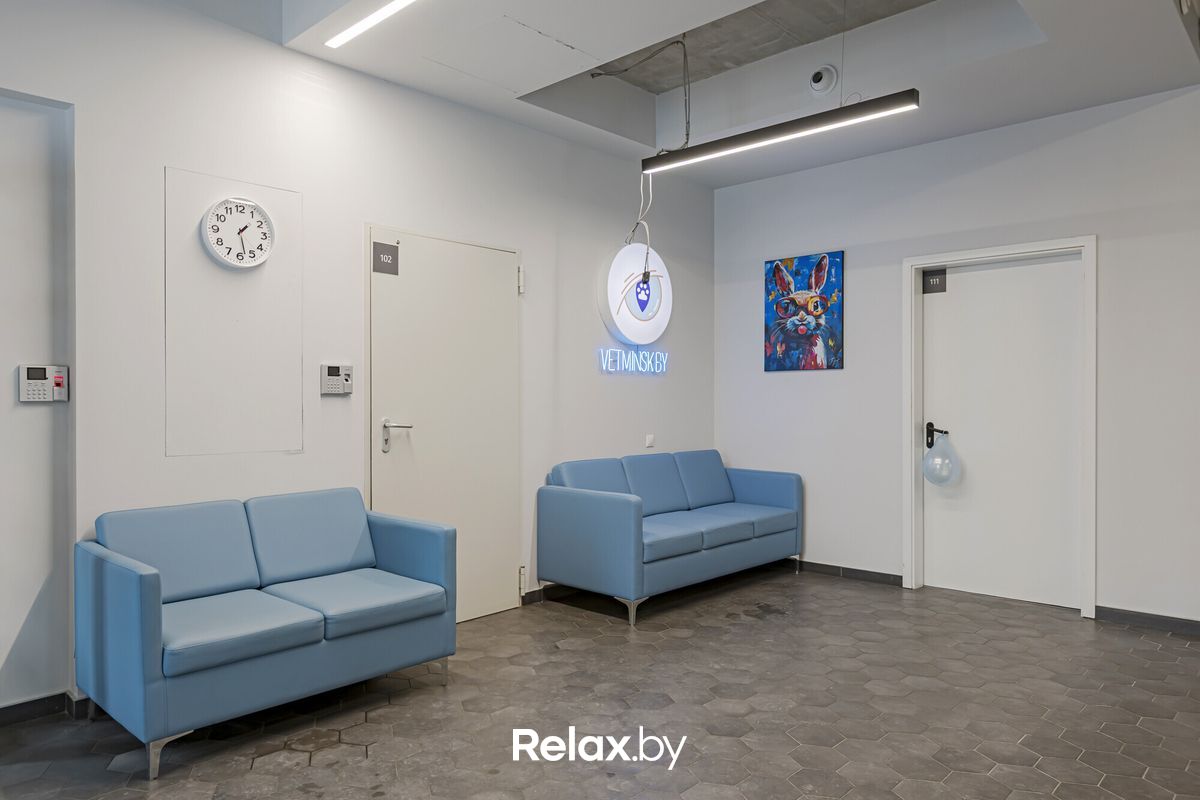 Интерьер Ветеринарная клиника «Компаньон» - фото 7876529
