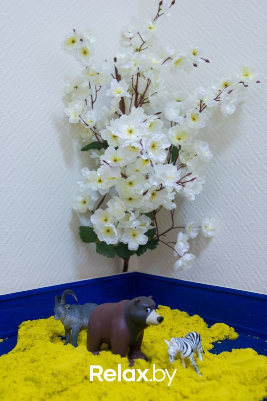 Галерея Центр психологического развития Avatar (Аватар) - фото 5712963