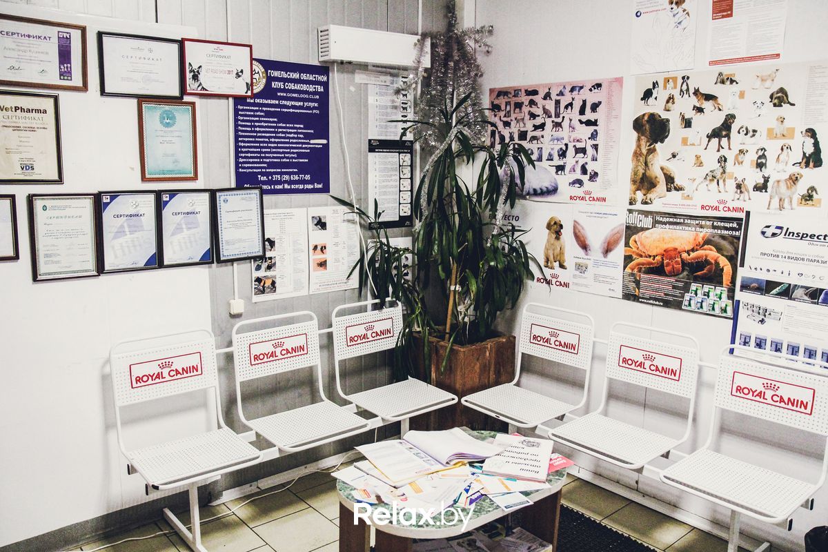 Галерея Ветклиника «Эвия Верум» - фото 4108023