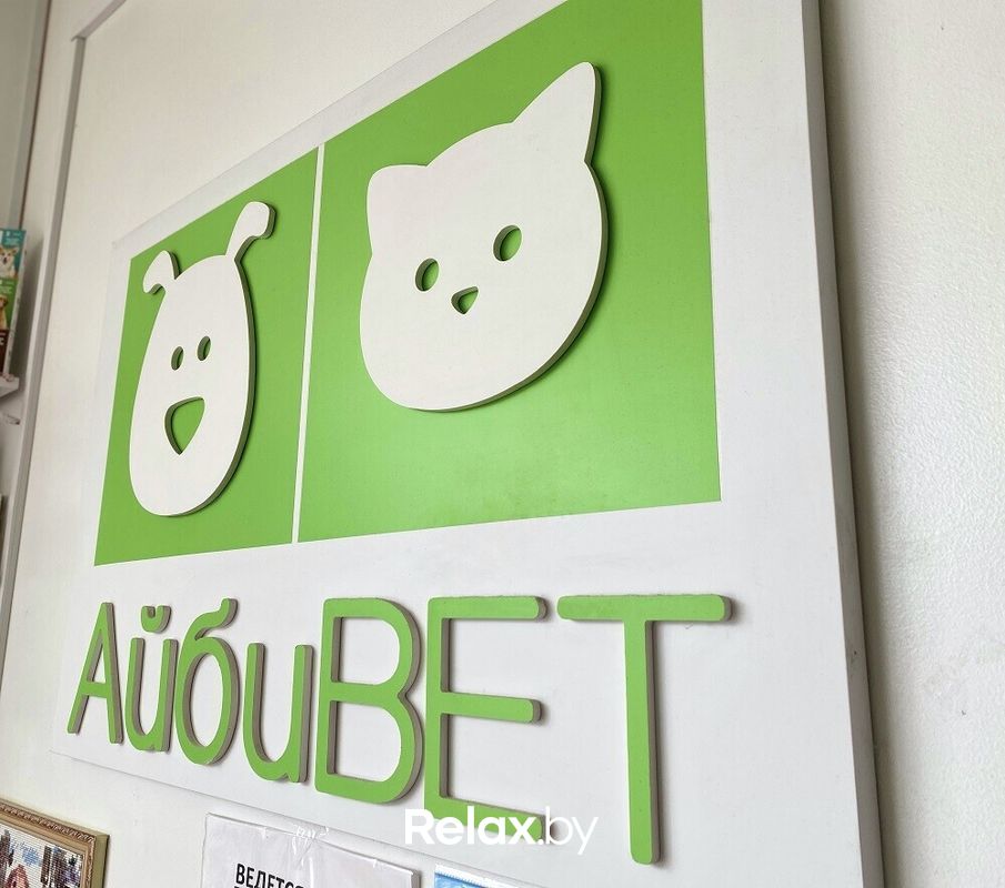 Галерея Ветеринарная клиника «АйбиВЕТ» - фото 7834363