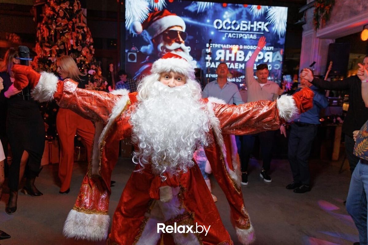 Новый год 2026 Гастропаб-караоке «ОСОБНЯК» - фото 7846365