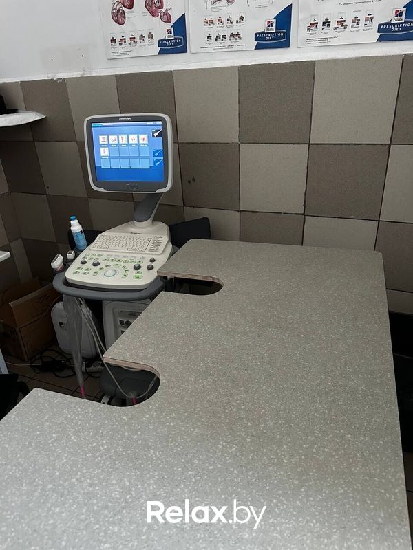 Галерея Ветеринарная клиника «Центр здоровья животных» - фото 7853632