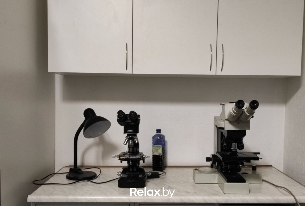 Галерея Ветеринарная клиника «Питомец» - фото 6790943