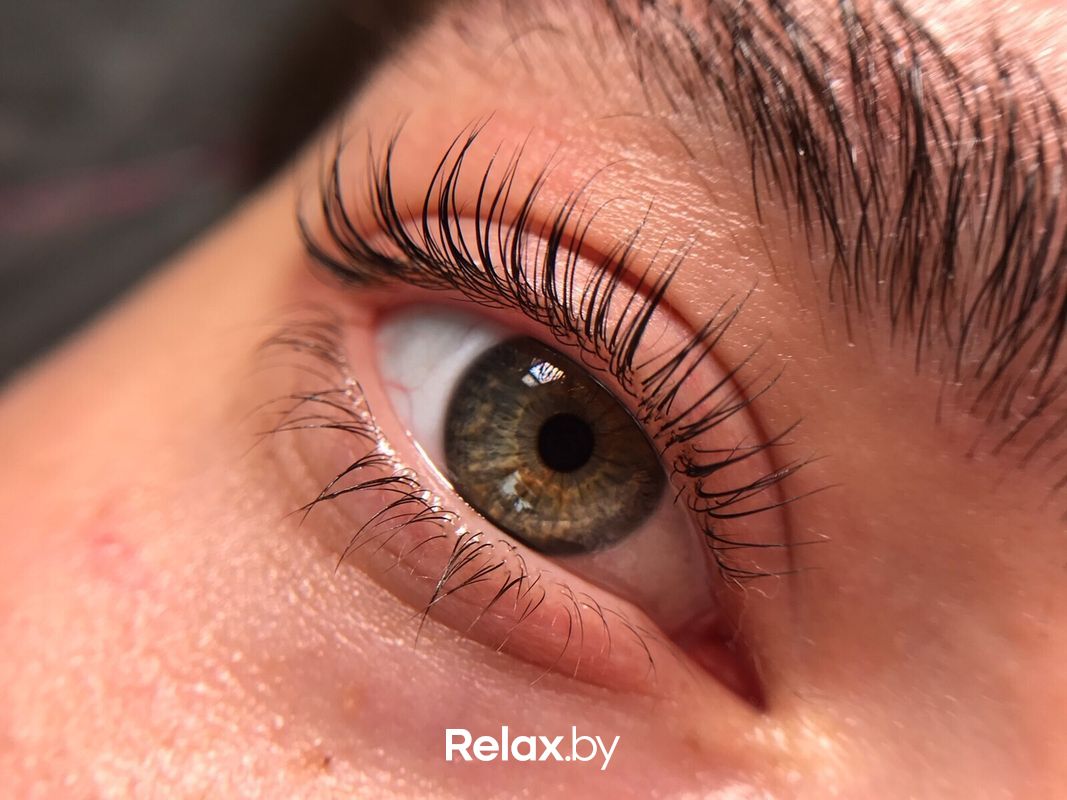 Ламинирование ресниц Салон красоты «Шевелюра» - фото 7762019