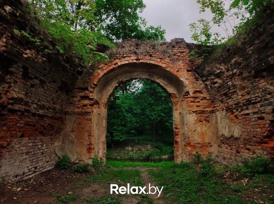 Руины замка Достопримечательности «Высоковский замок» - фото 6215163