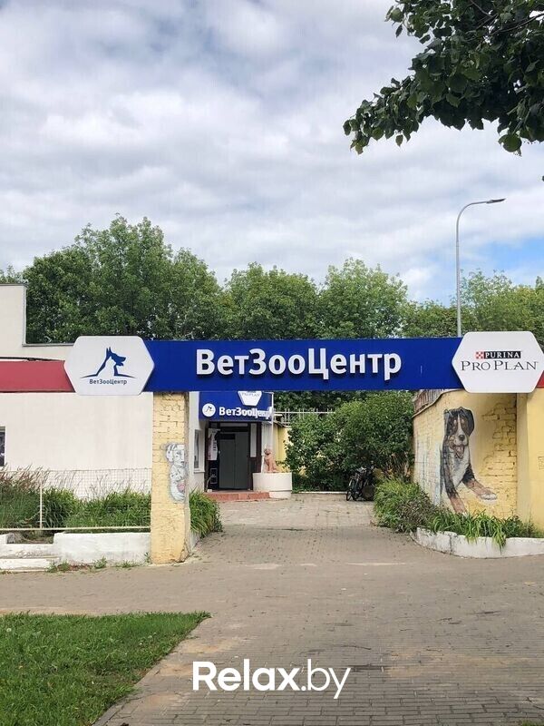 Галерея Ветеринарная клиника «ВетЗооЦентр» - фото 7740247