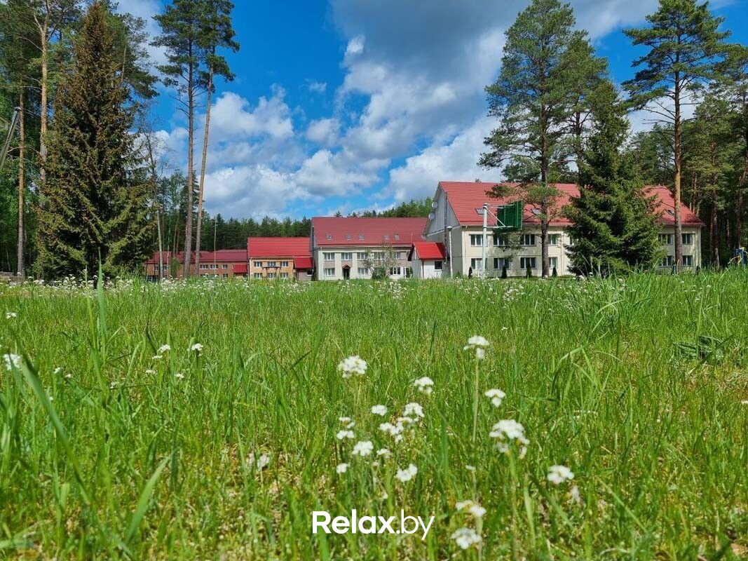 Территория Оздоровительный комплекс «Чайка» - фото 7744445