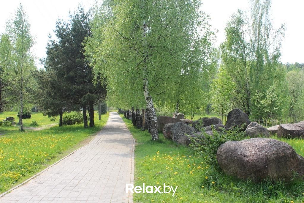 Музей валунов Парк «Музей валунов» - фото 6225643