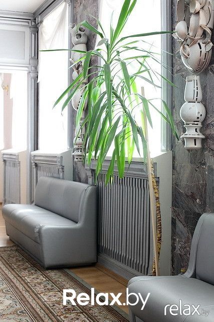 Галерея Загс «Отдел ЗАГС Администрации Центрального района» - фото 42628